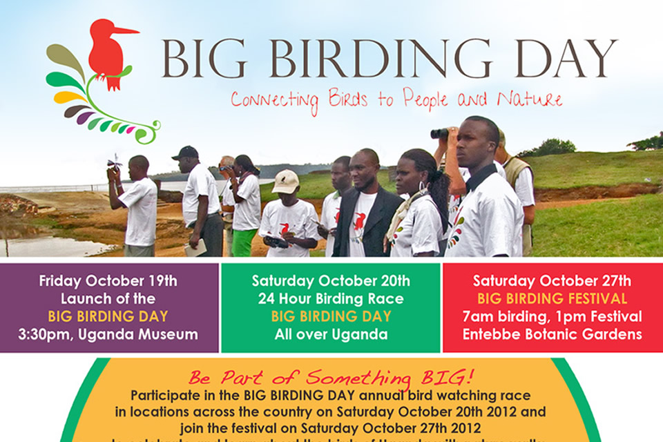 Participate in Big Birding Day 2012